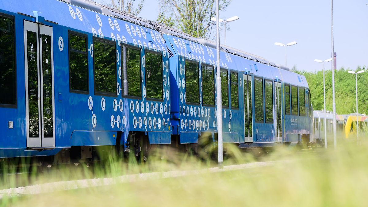 Rückreise vom Schulausflug: Mädchen geraten in Schlägerei