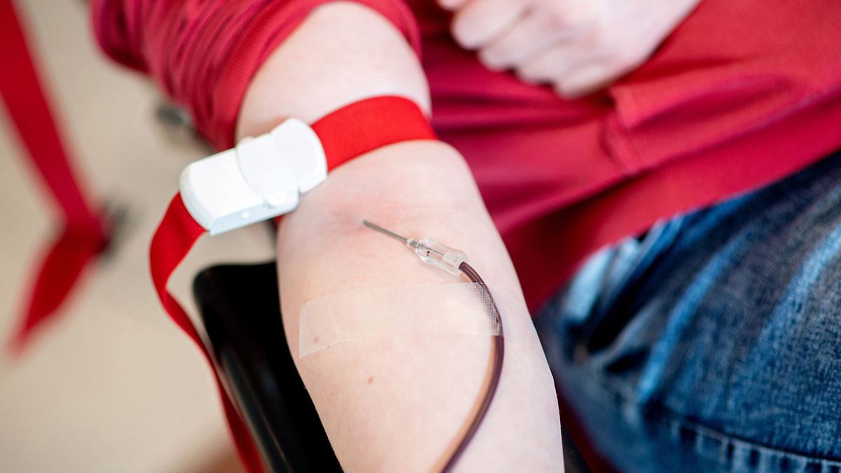 Blutspendedienst ehrt seine Super-Spender