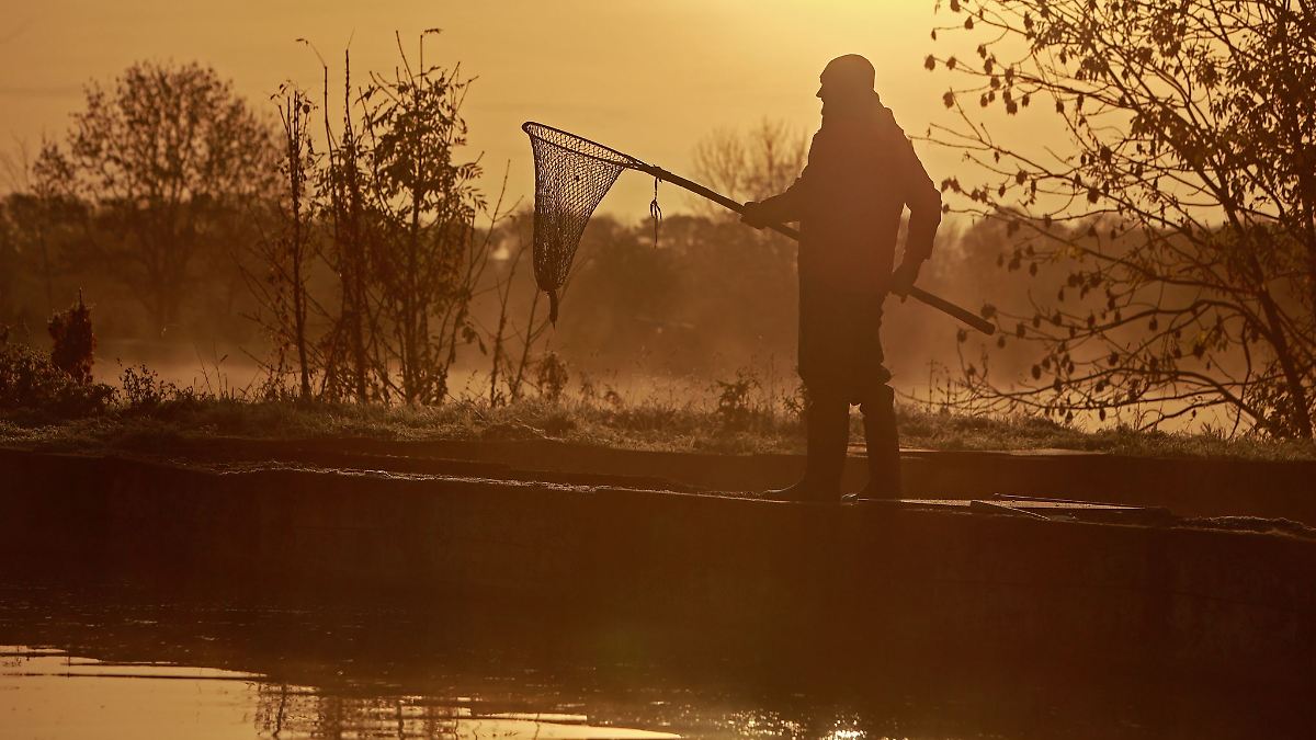 4,3 Millionen Euro für die Teichwirtschaft in Sachsen