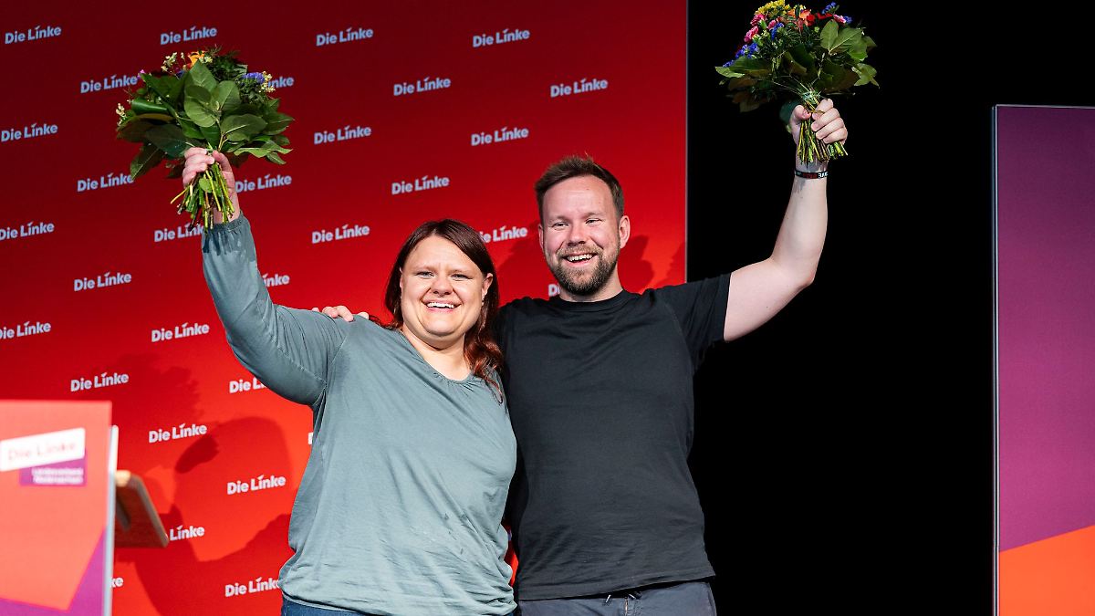 Linke wählt neuen Landesvorstand und will wieder in Landtag