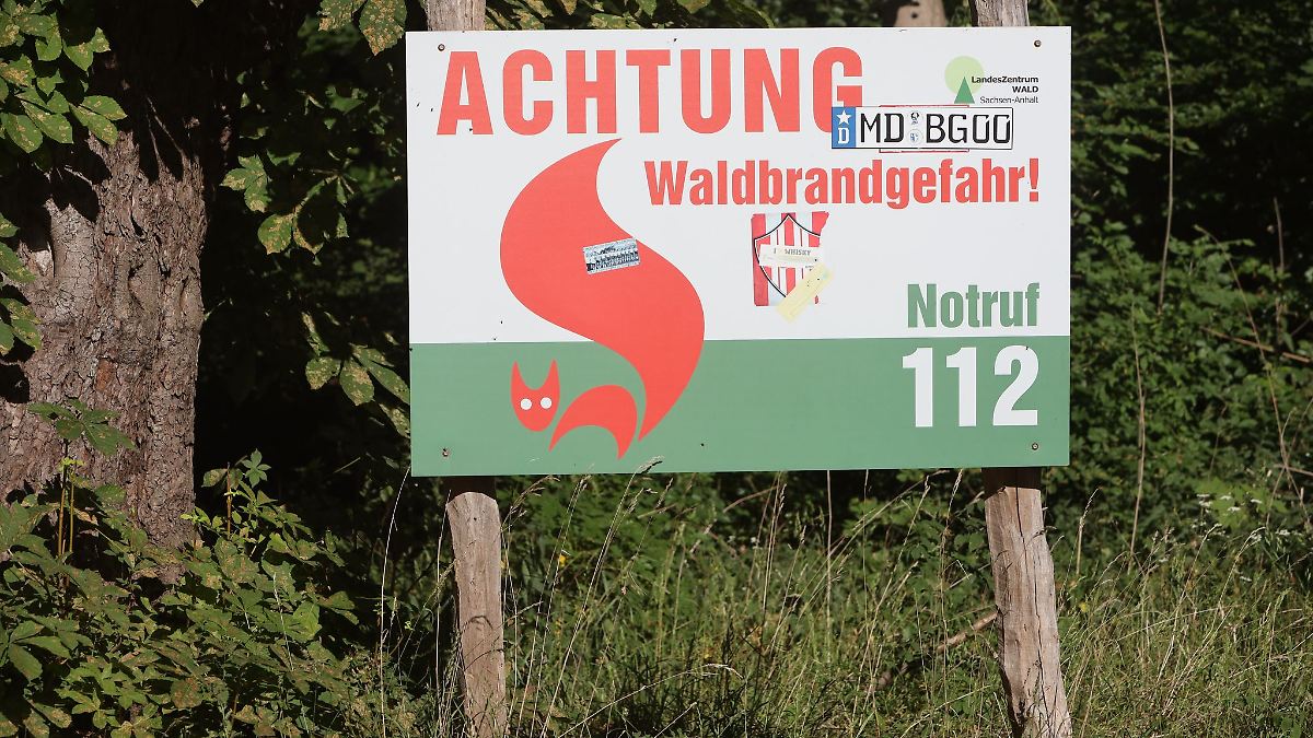 Hohe Waldbrandgefahr in Sachsen-Anhalt