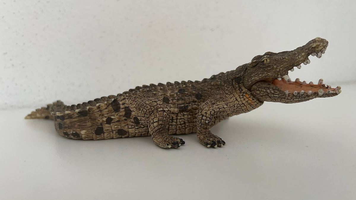 Spielzeugkrokodil sorgt für Polizeieinsatz