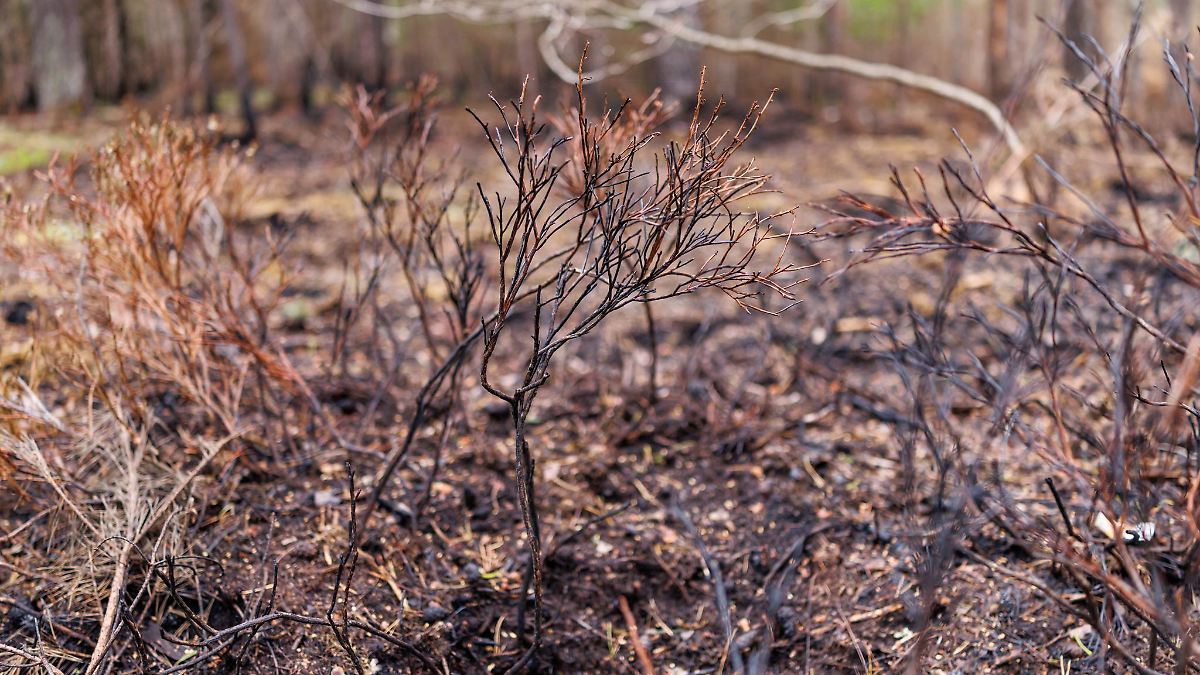Aschaffenburg verbietet offene Feuer wegen Brandgefahr