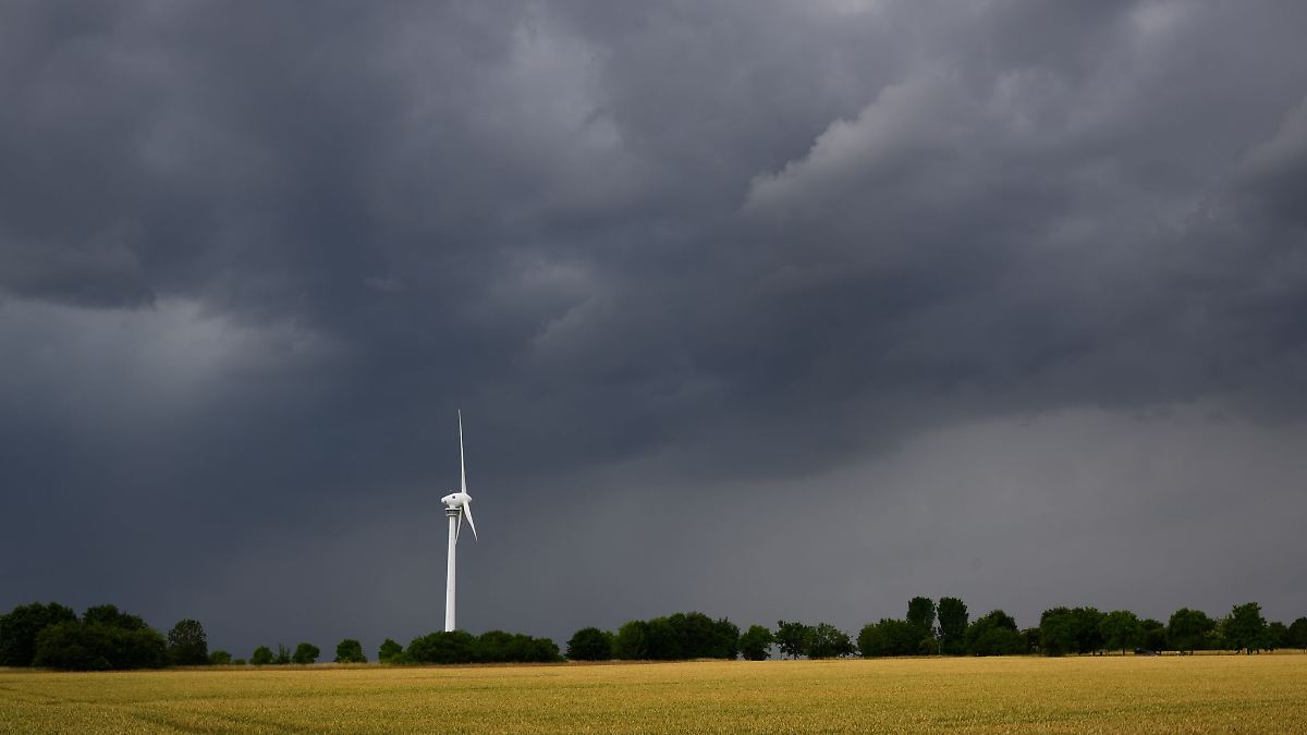 Gewitter in Mittel- und Nordhessen lässt Bäume umstürzen