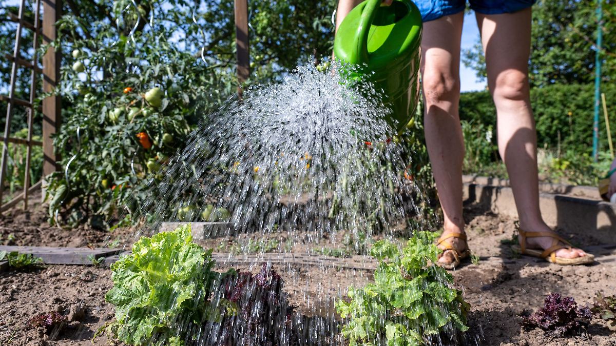 Wasserentnahme in Sachsen-Anhalt teils eingeschränkt