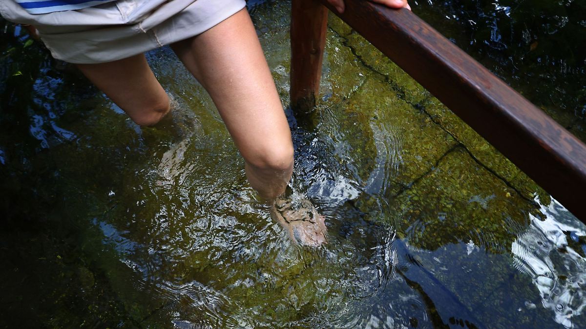 Verband: Kneipp-Angebote in Thüringen immer beliebter