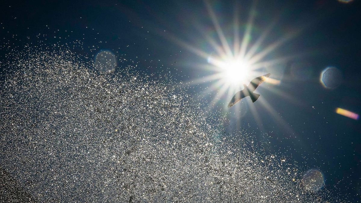 Hitze in Bayern dauert an