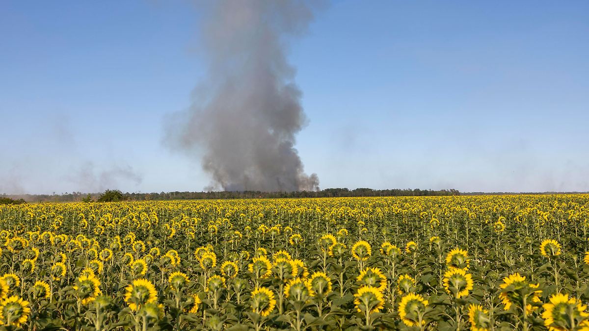 Waldbrand in Gohrischheide - Löscharbeiten dauern an