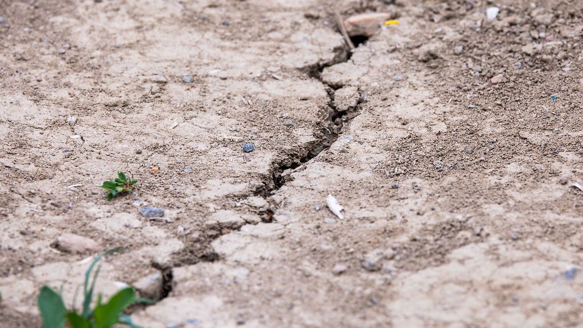 Nordsachsen verbietet wegen Trockenheit die Wasserentnahme