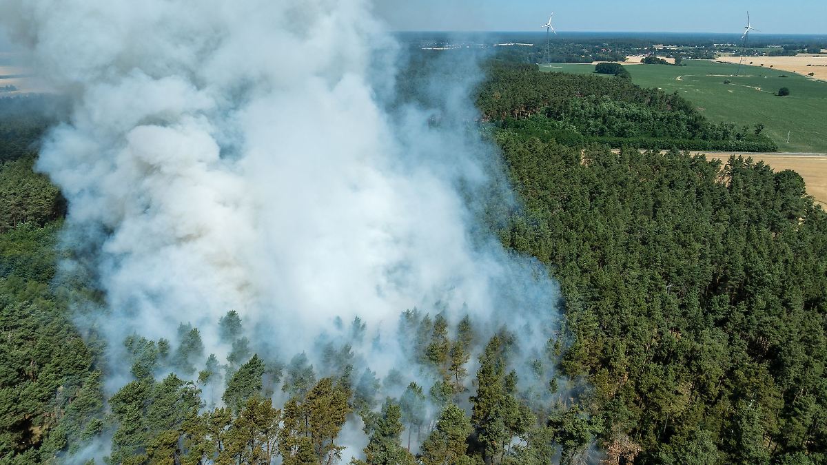 Über 200 Waldbrände in Brandenburg - Feuer an Landesgrenze