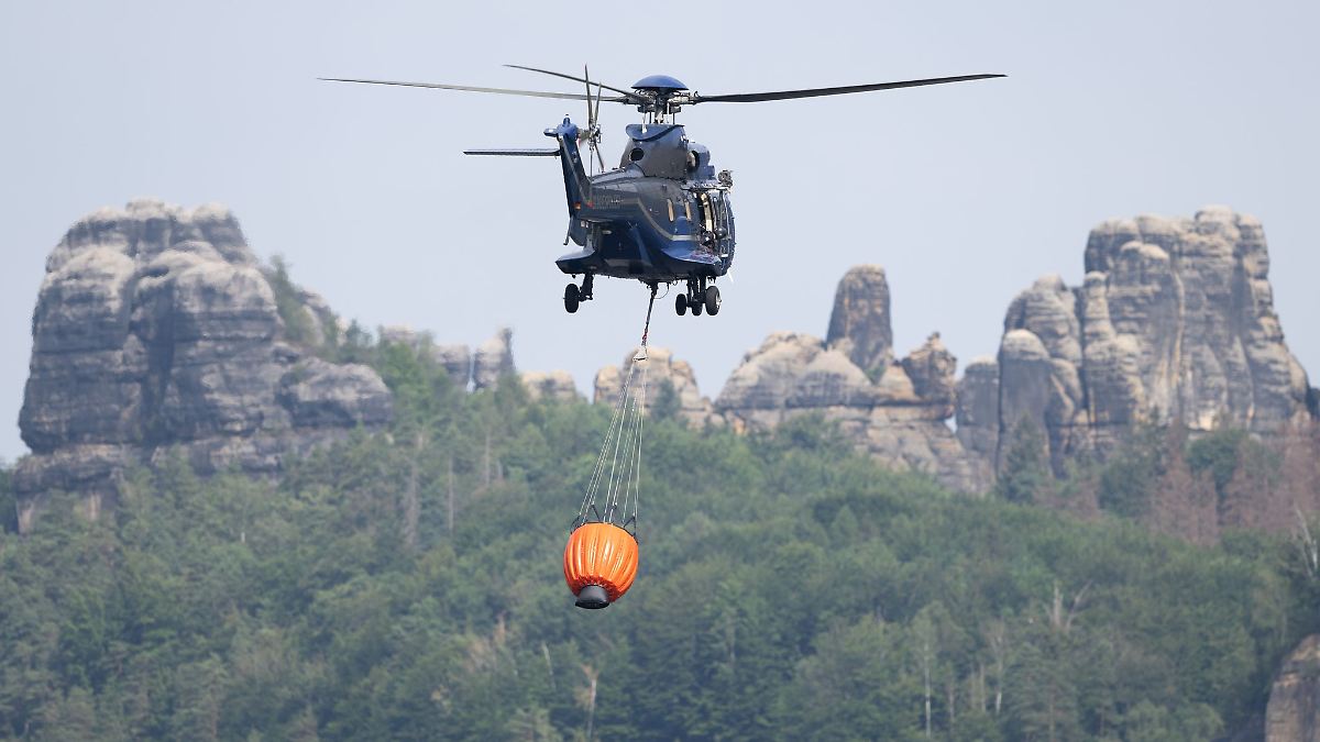 Sachsen rüstet sich für Bekämpfung von Waldbränden