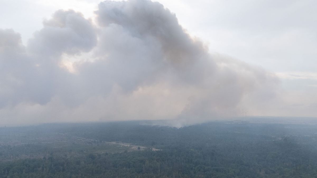 Brand in der Gohrischheide: Brandenburg nicht mehr betroffen