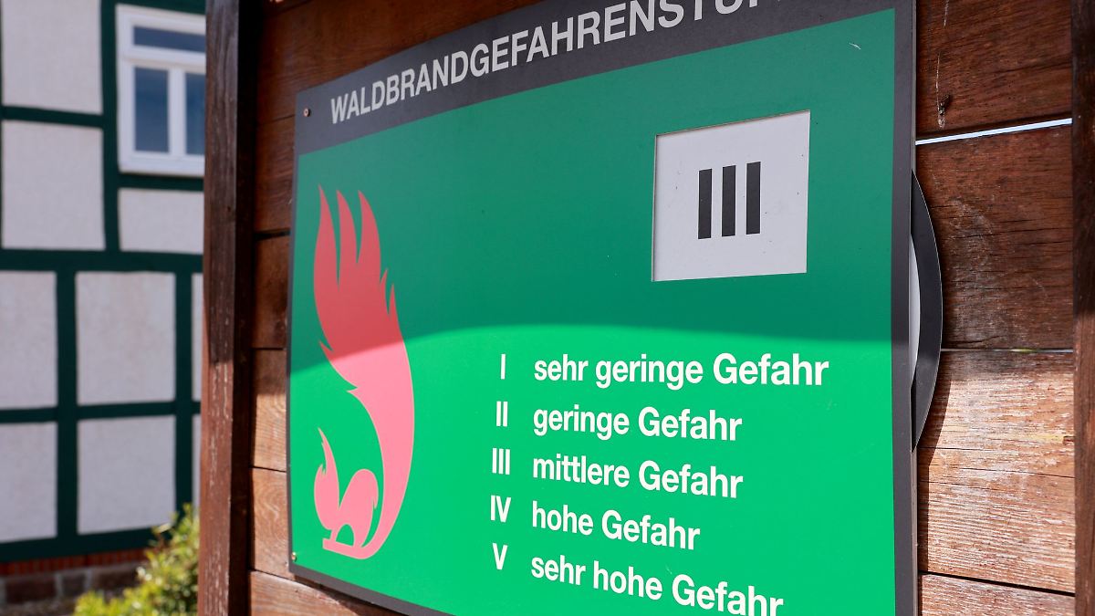 Waldbrandgefahr in Sachsen vorübergehend gesunken