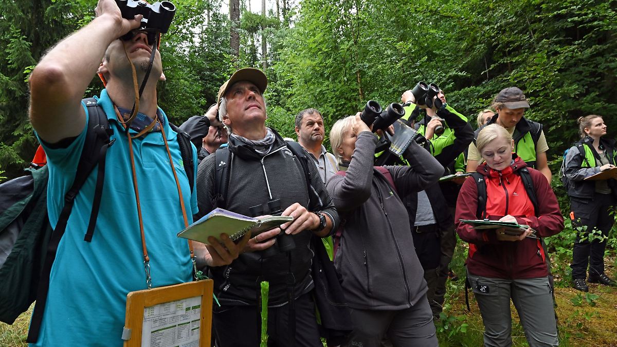 Thüringer Forstleute trainieren für Waldzustandserhebung