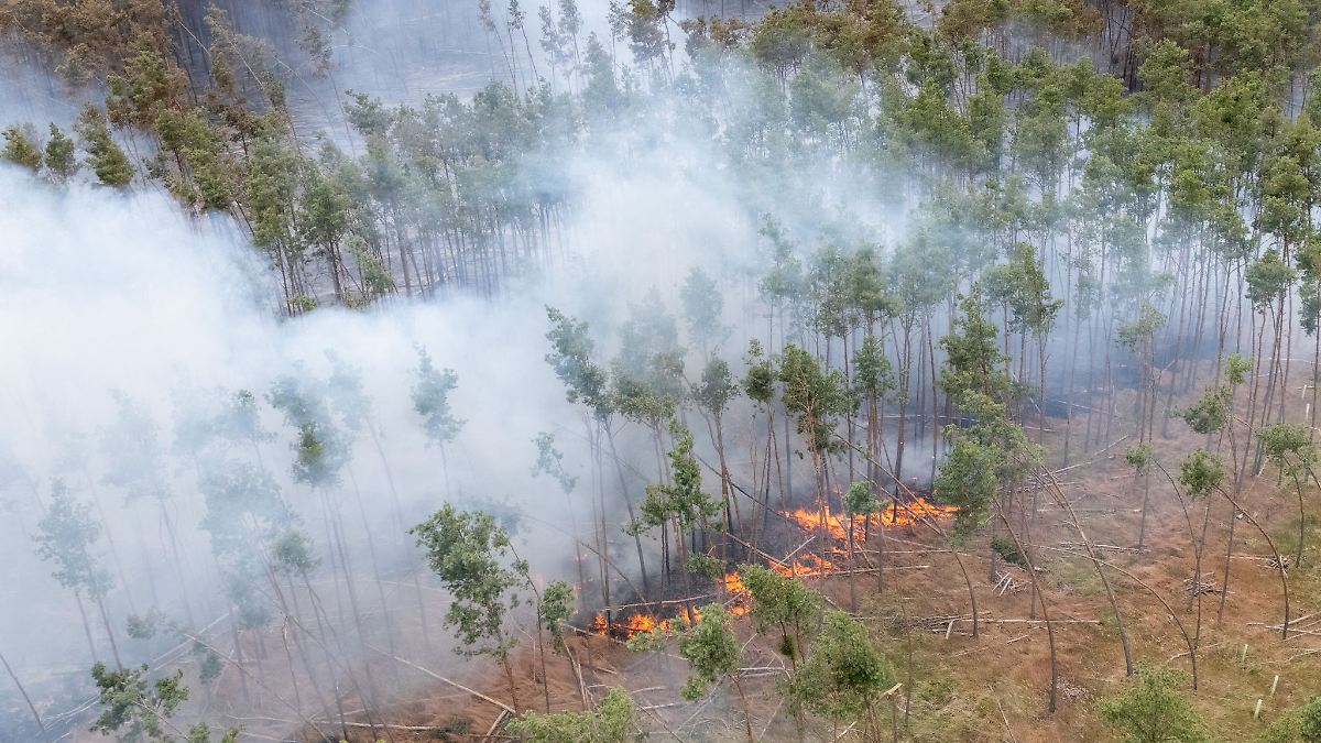 Naturschutzgebiet Gohrischheide: Feuer bedroht Lebensräume