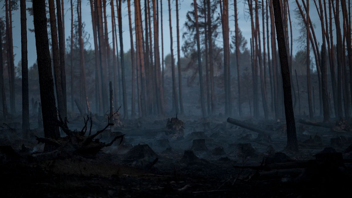 Keine Ausweitung bei Waldbrand auf der Saalfelder Höhe