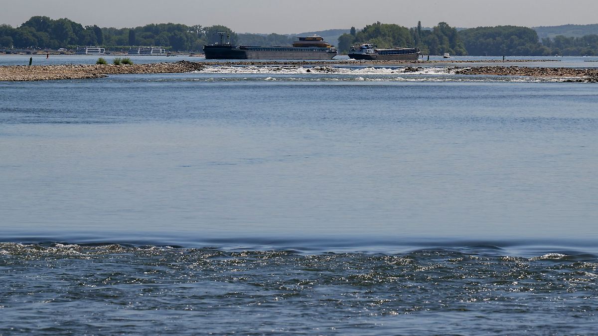 Wasser im Rhein 27 Grad warm - weitere Warnstufe erreicht