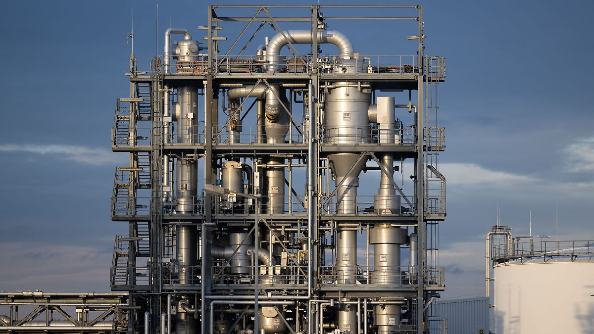 Land sichert BASF-Standort Schwarzheide Unterstützung zu