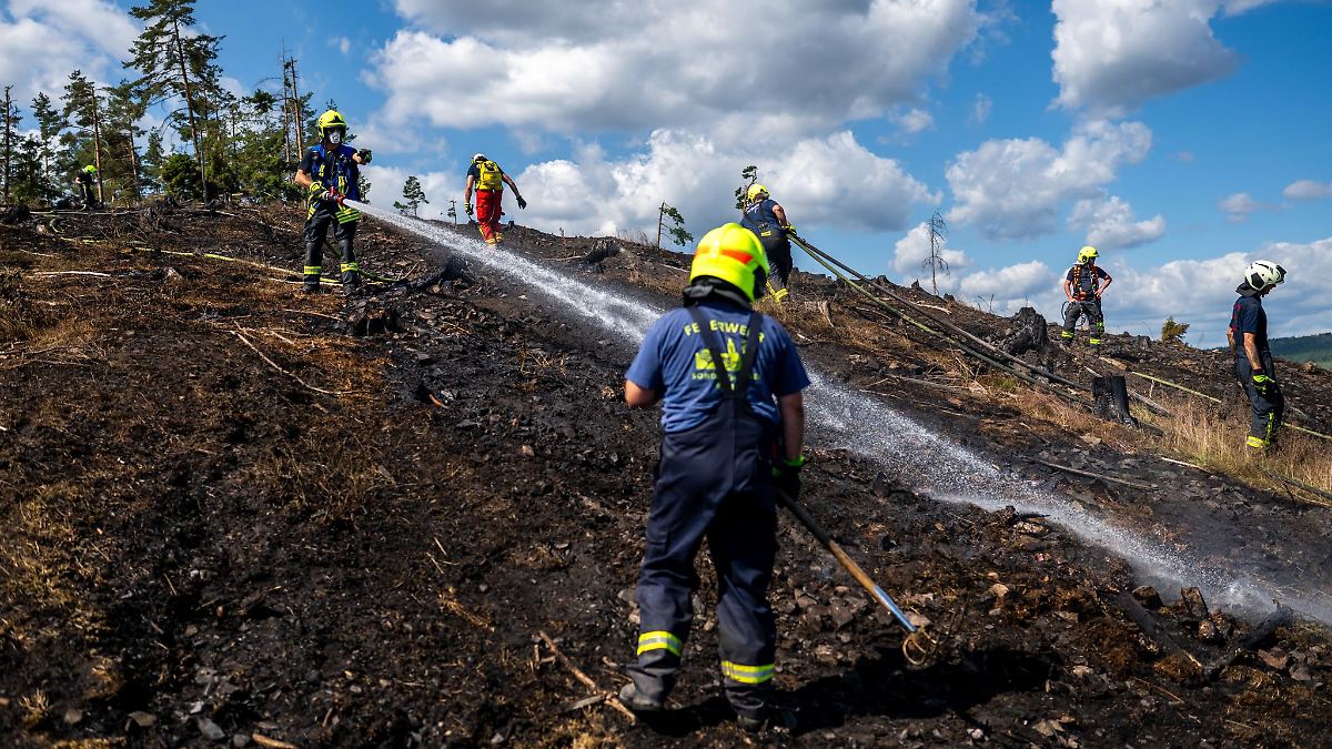 Ausbreitung des Waldbrandes über Nacht verhindert