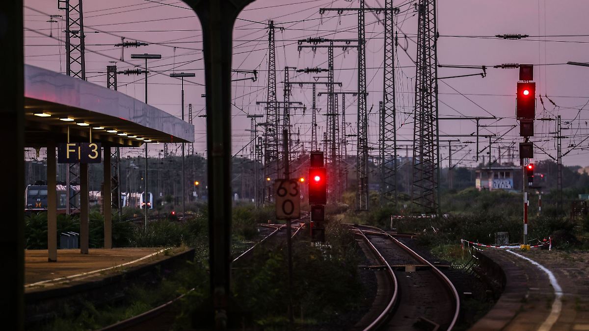 35 ausgebrochene Kühe halten Bahnen bei Neumünster auf