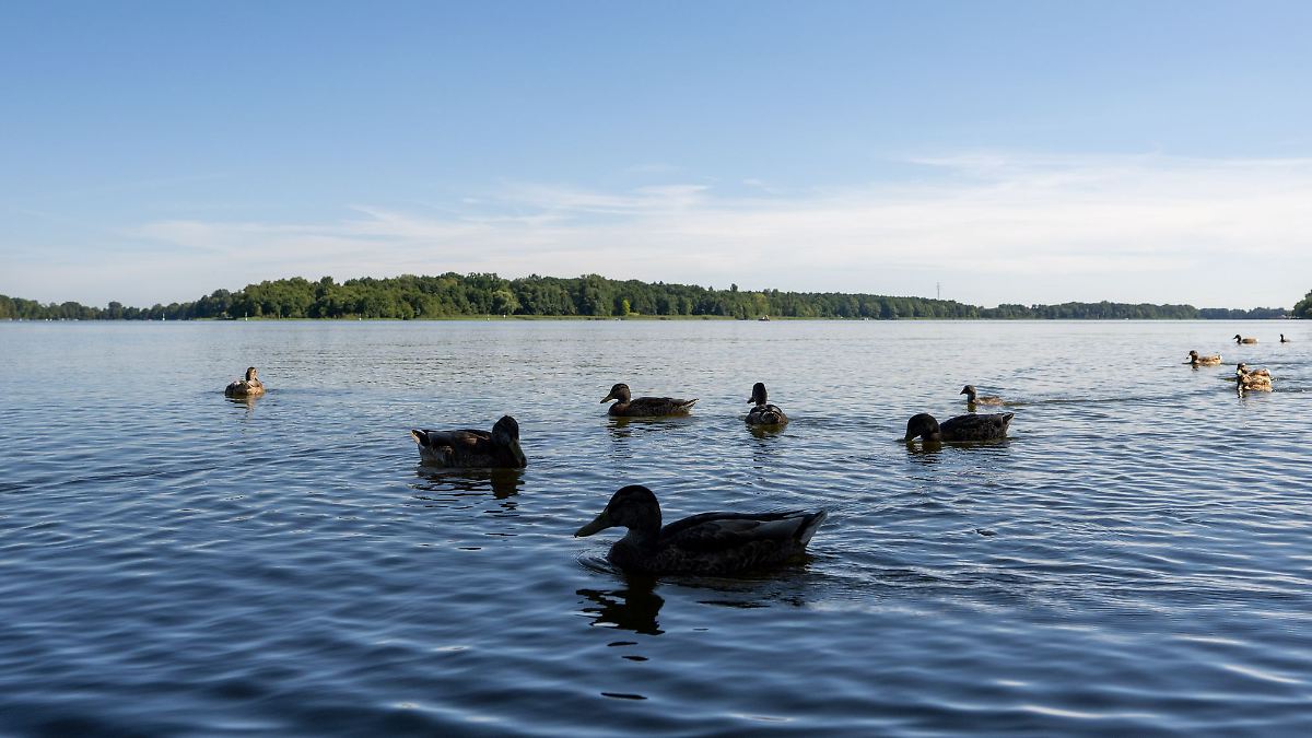 Gute Wasserqualität zum Baden in Brandenburg - mit Ausnahmen