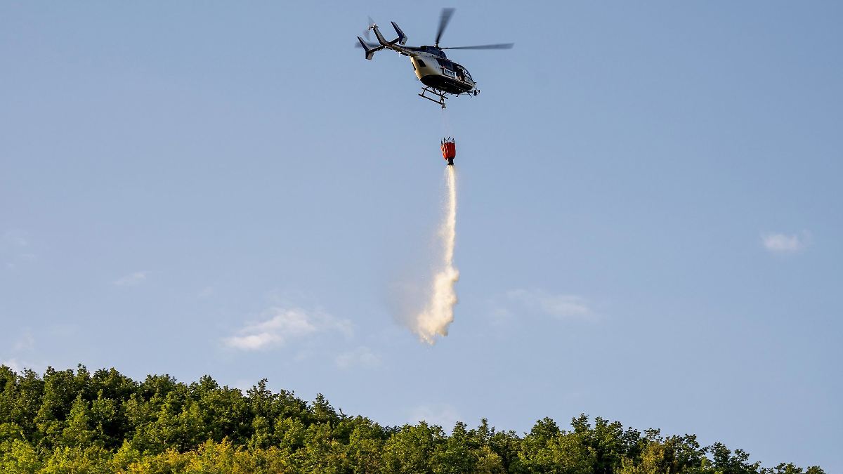 4.000 Quadratmeter Weinberg in Brand