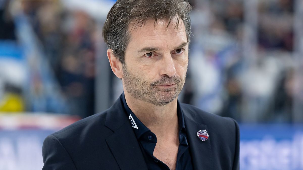 Adler Mannheim holen Stürmer Anthony Greco