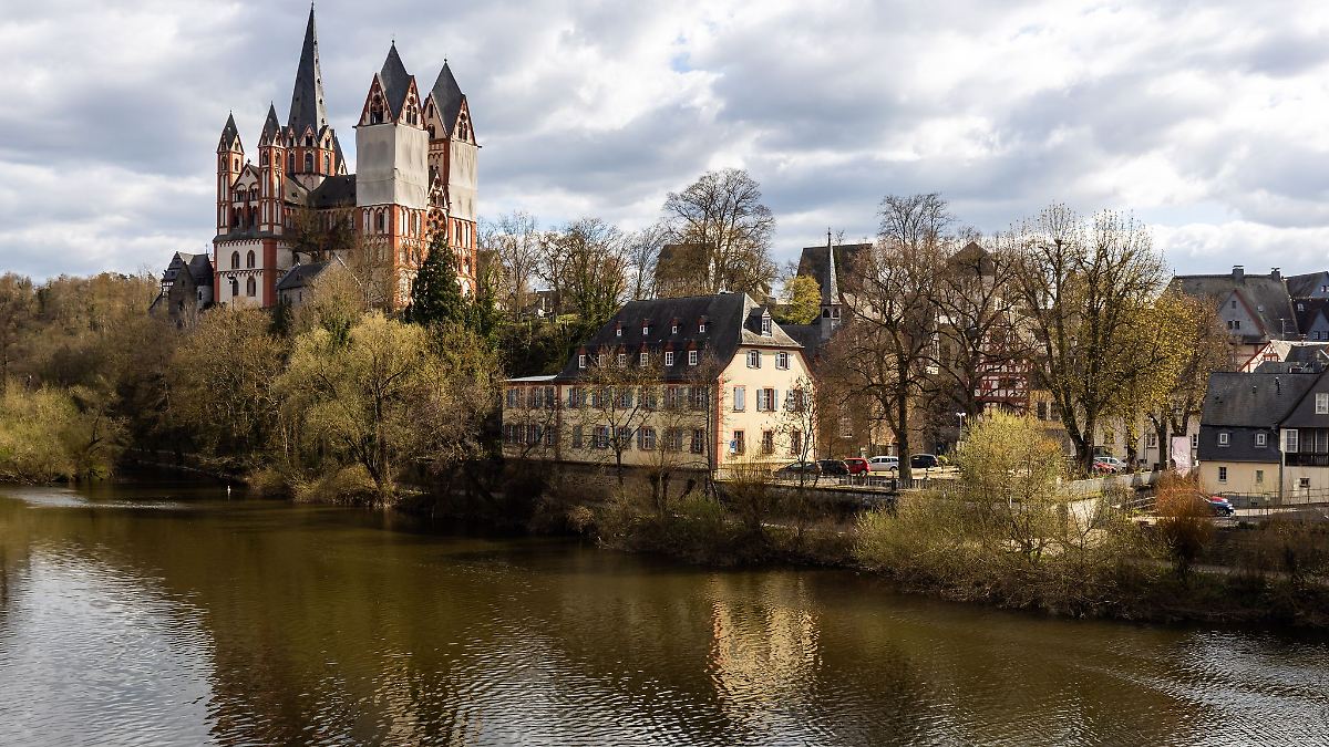Bäume auf Spielplatz geschädigt - Gelände wieder freigegeben