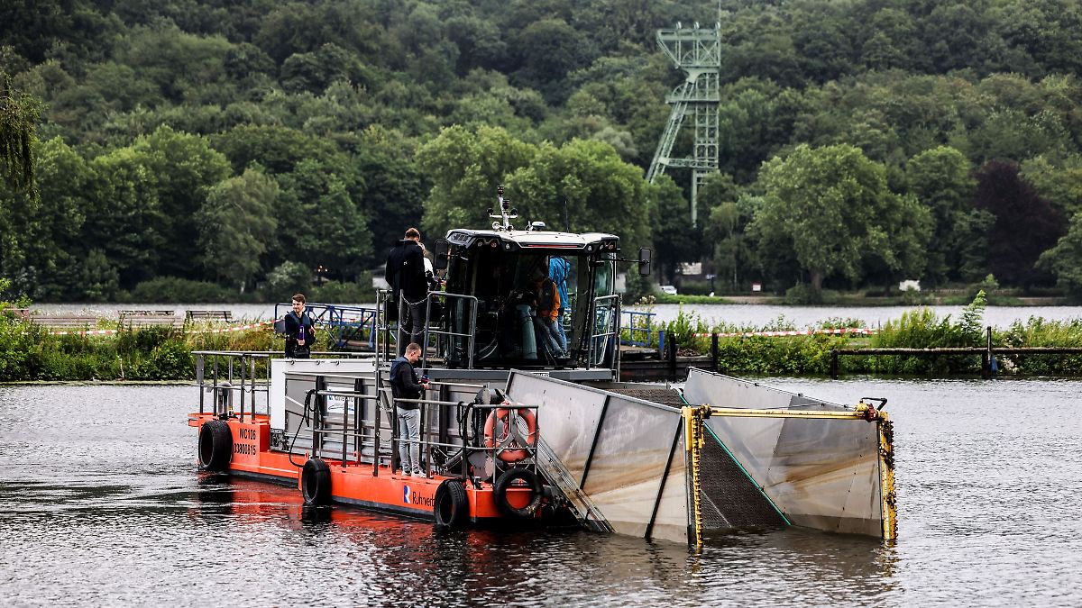 Unerwünschtes See-Grün: Neues Mähboot gegen Wasserpflanzen