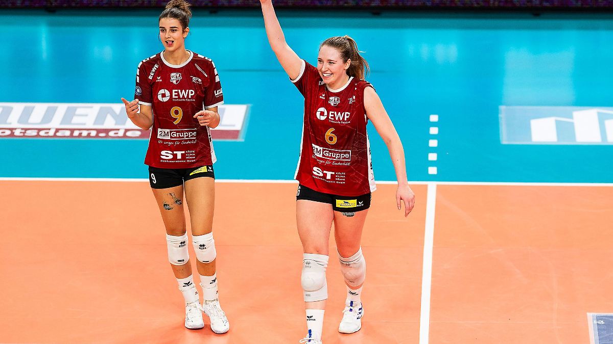 Stuttgarter Volleyballerinnen holen Holthaus aus Potsdam