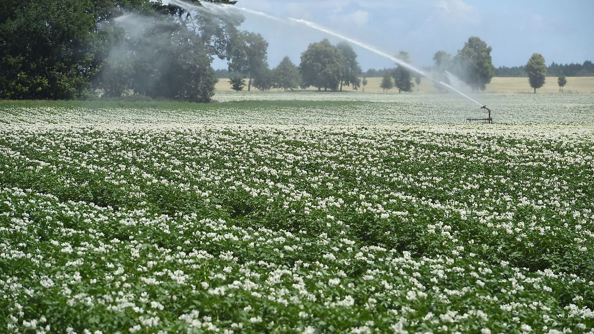 Neues Wassergesetz stärkt Gewässerschutz - Gebühren steigen