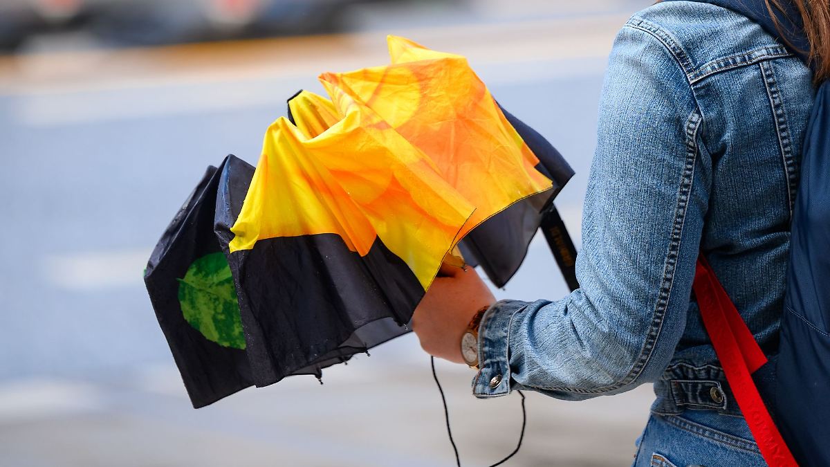 Gewitter, Sonne, Regen – Wetter im Norden bleibt wechselhaft