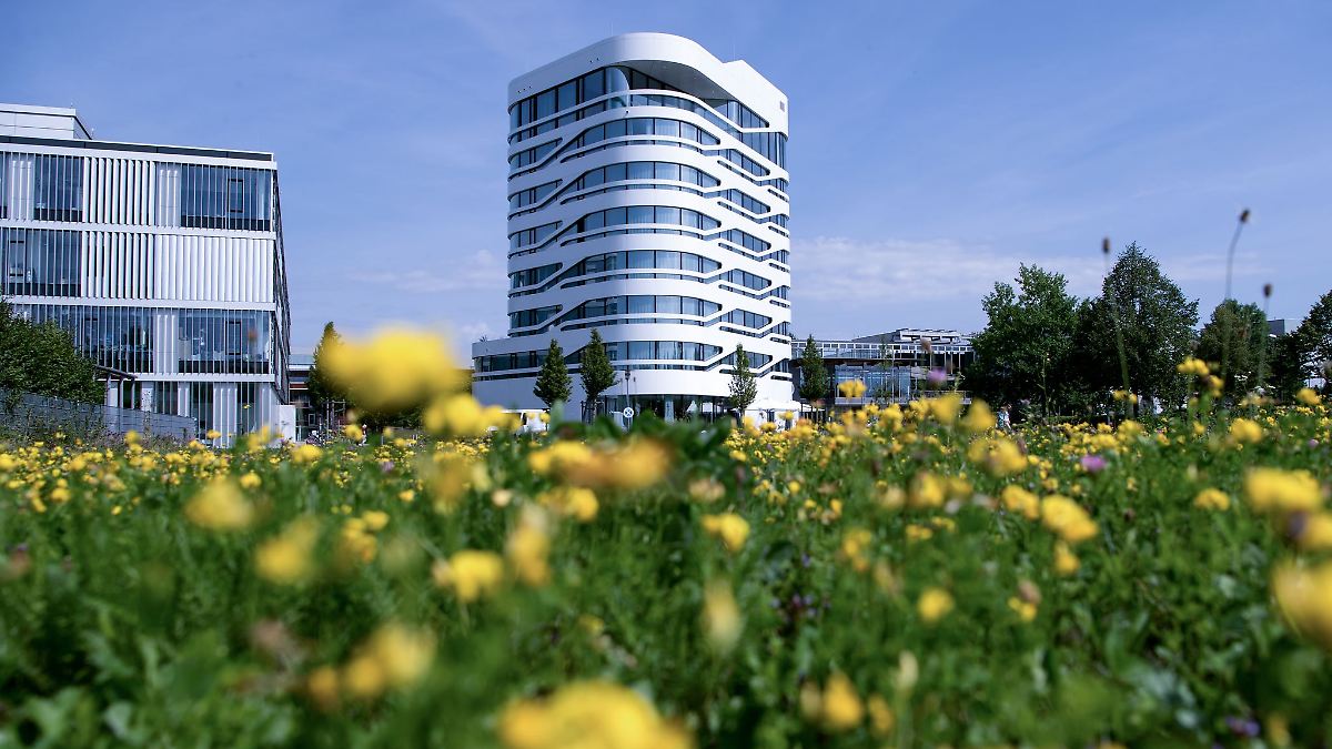 Bayern: Söder: Bayern steckt halbe Milliarde in Bio-Campus - n-tv.de