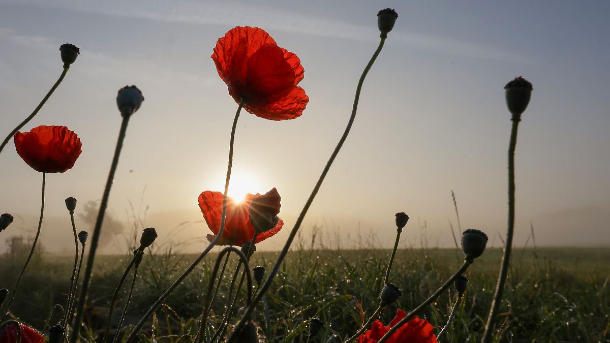 Wieder mehr Sonne im Südwesten