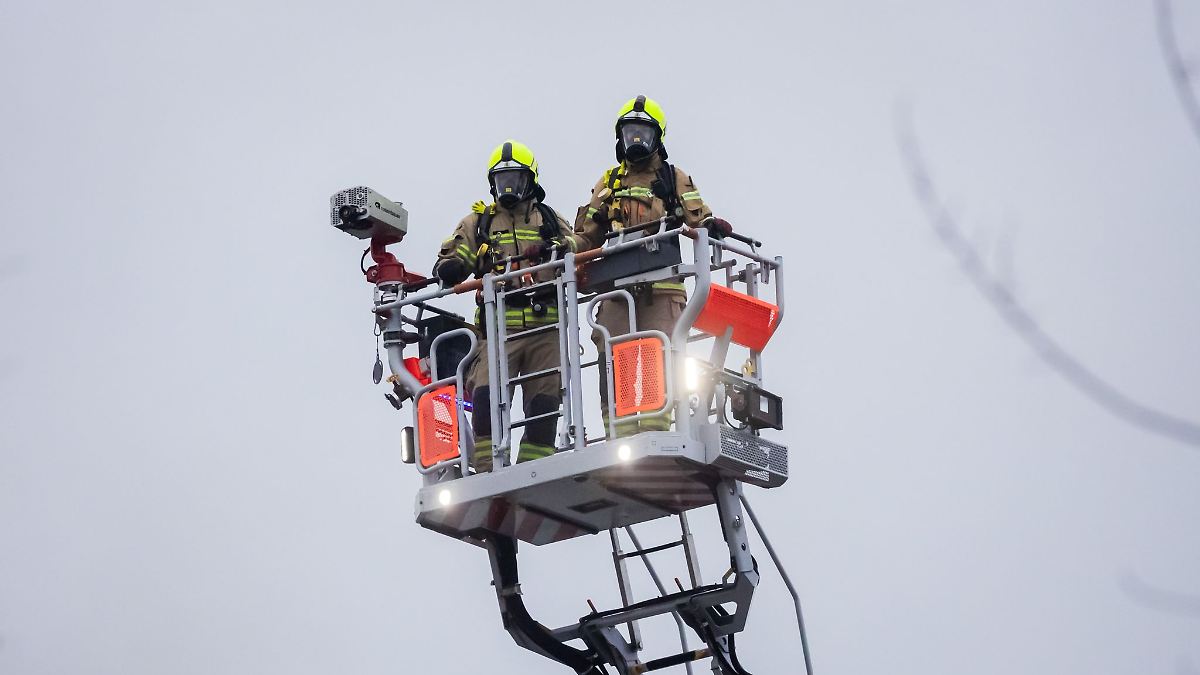 Seniorin sucht Katze auf Dach – Polizei und Feuerwehr kommen