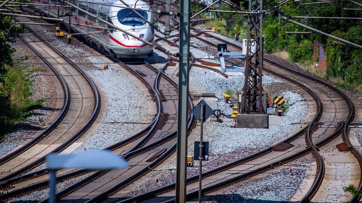 Baum umgefallen - Sperrung auf Bahnstrecke Bremen-Hamburg