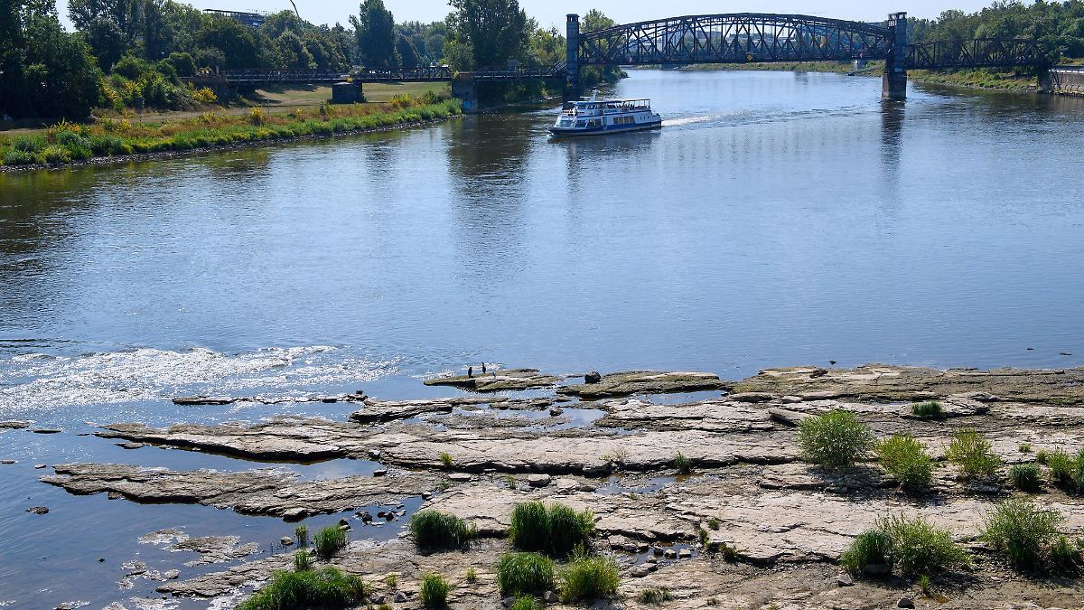 Nach Niedrigwasser: Weiße Flotte fährt wieder ab Magdeburg