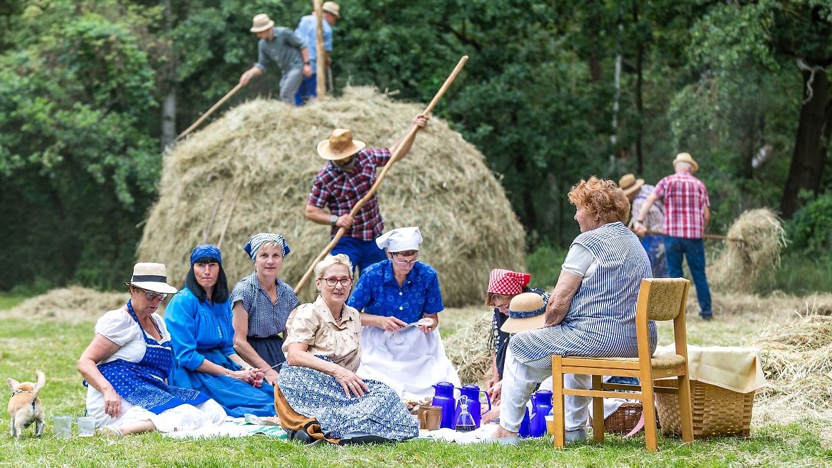 Traditioneller Heuschober in Alt Zauche aufgestellt