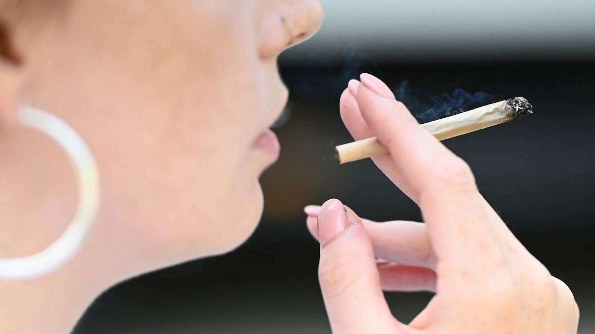 13 Bußgeldbescheide wegen Cannabis-Verstößen