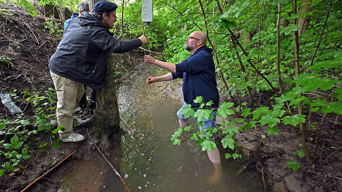 KI-Messstation überwacht Wasserqualität an Bächen in Jena