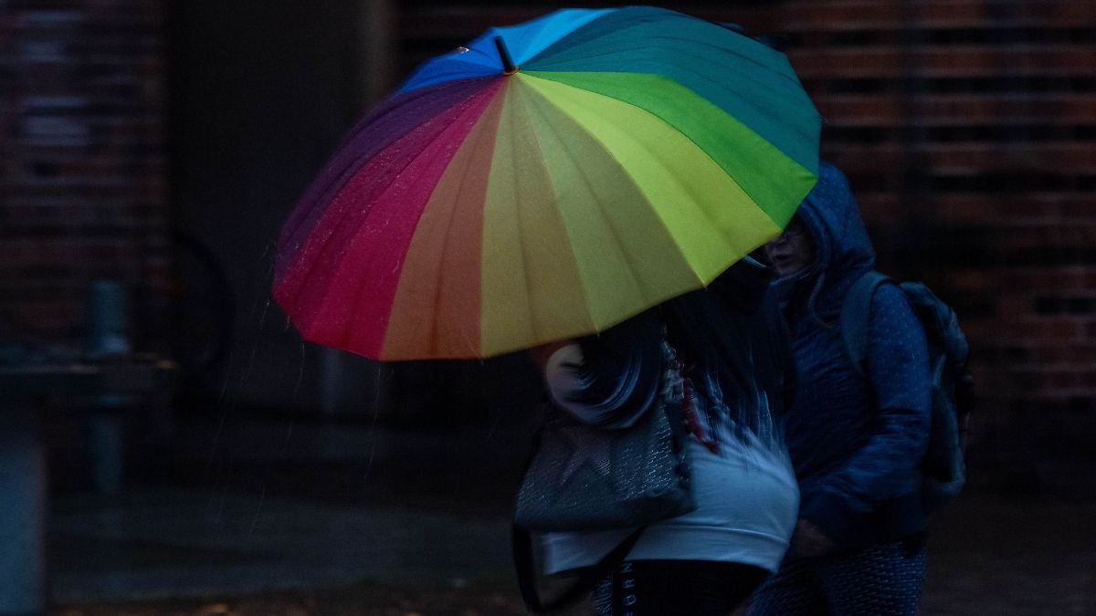 Starkregen in Raum Rostock: Wasser in Straßen und Geschäften