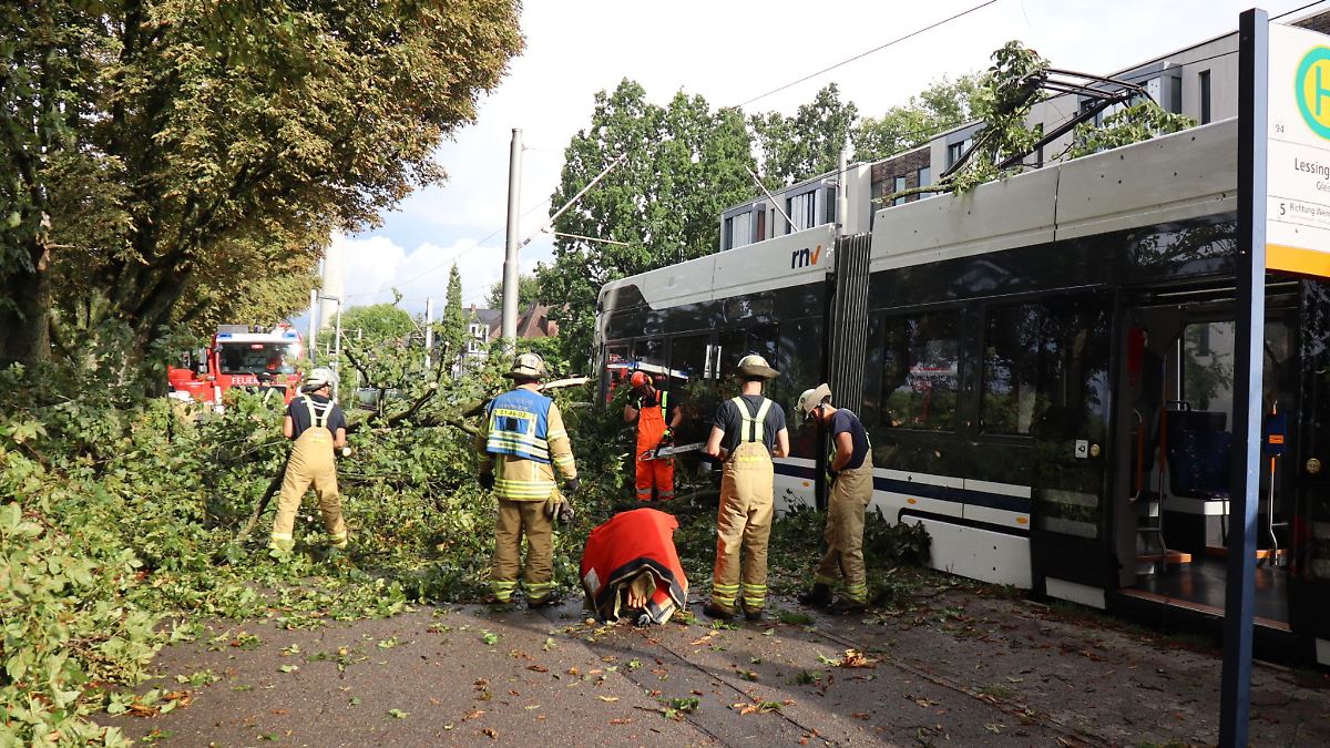 Baum stürzt bei Unwetter auf Straßenbahn in Mannheim