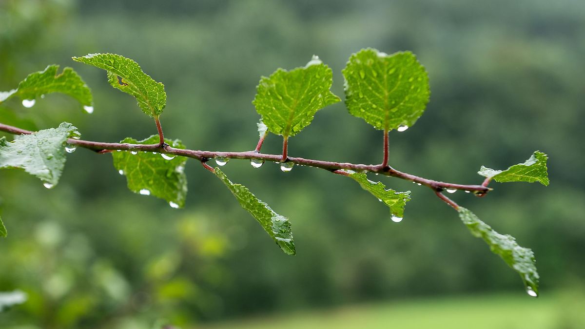 Wetter in Hessen bleibt wechselhaft