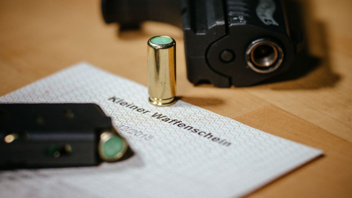 Linke-Fraktion: Zu wenige Kontrollen von Waffenbesitzern