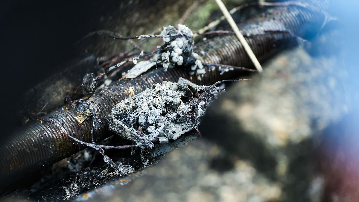 Kabelbrand in Hohenmölsen - bisher kein Bekennerschreiben