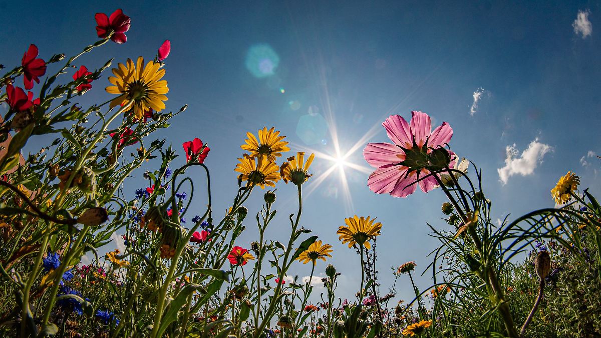 "Endlich Sommer": Warme Prognosen für Bayern