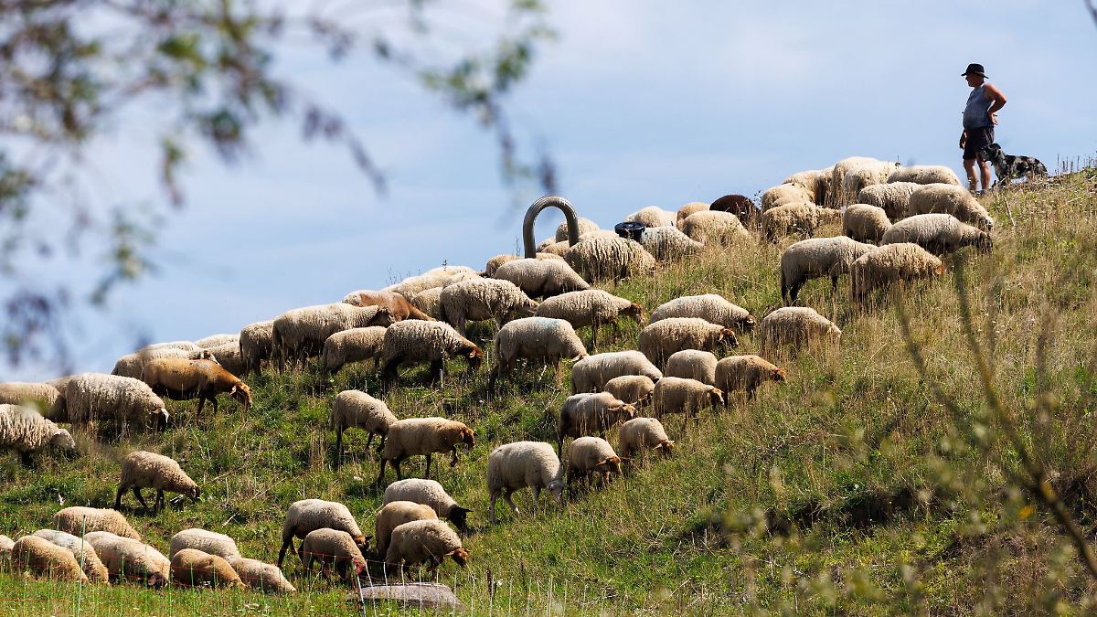 Sonne satt zum Wochenstart