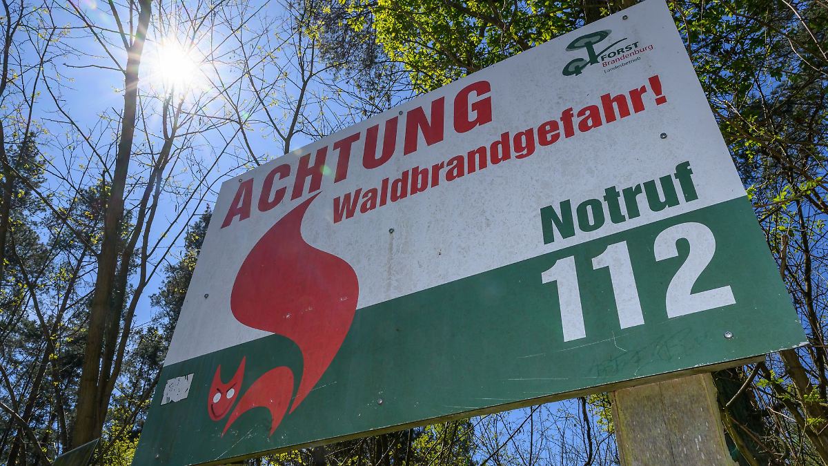 Waldbrandgefahr steigt: Mittlere Stufe erreicht