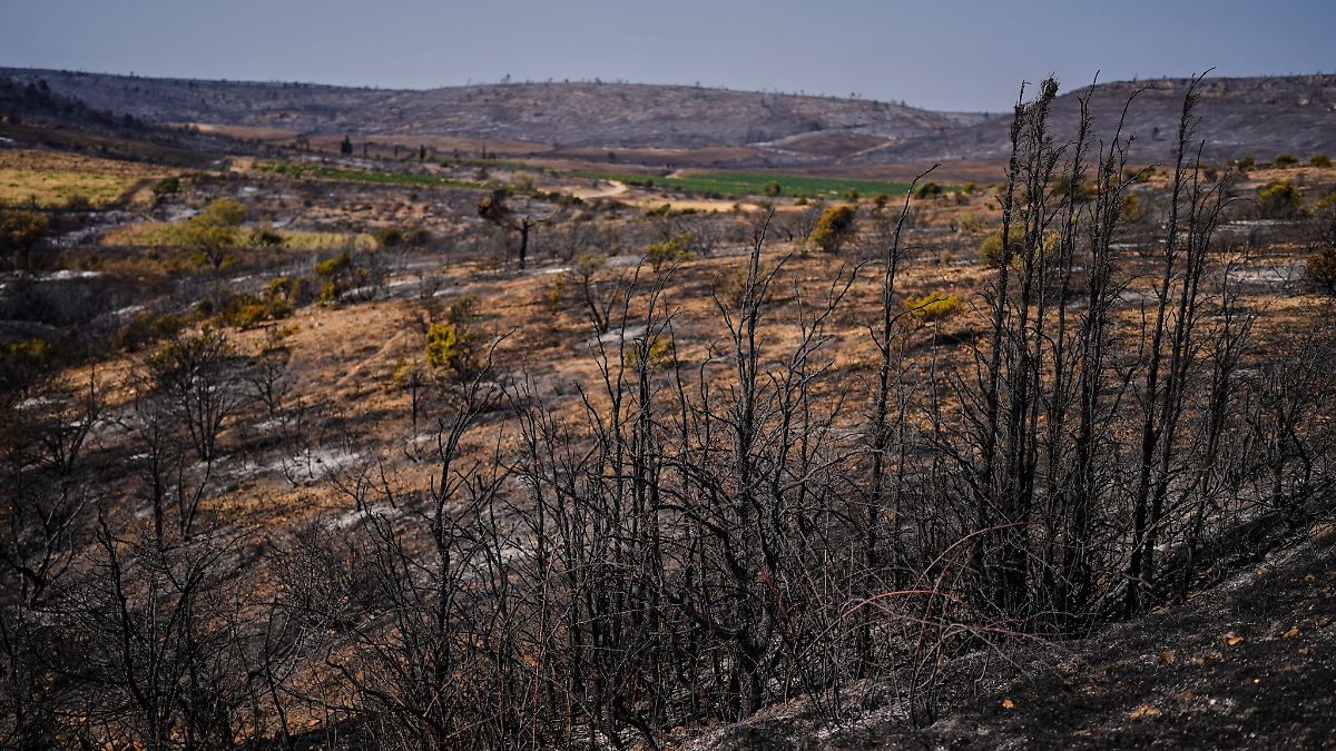 Feuerwehrleute aus Hessen helfen in Frankreich