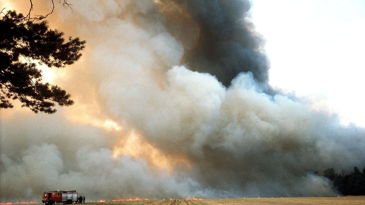 Feuerwehr hat aus Waldbrandkatastrophe in Südheide gelernt